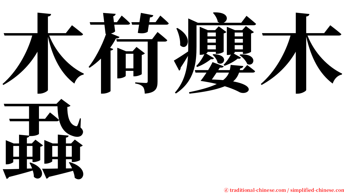 木荷癭木蝨 serif font