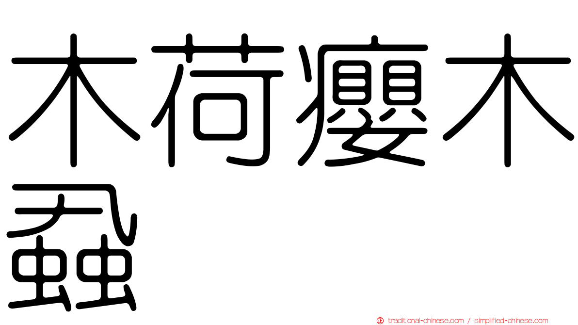 木荷癭木蝨