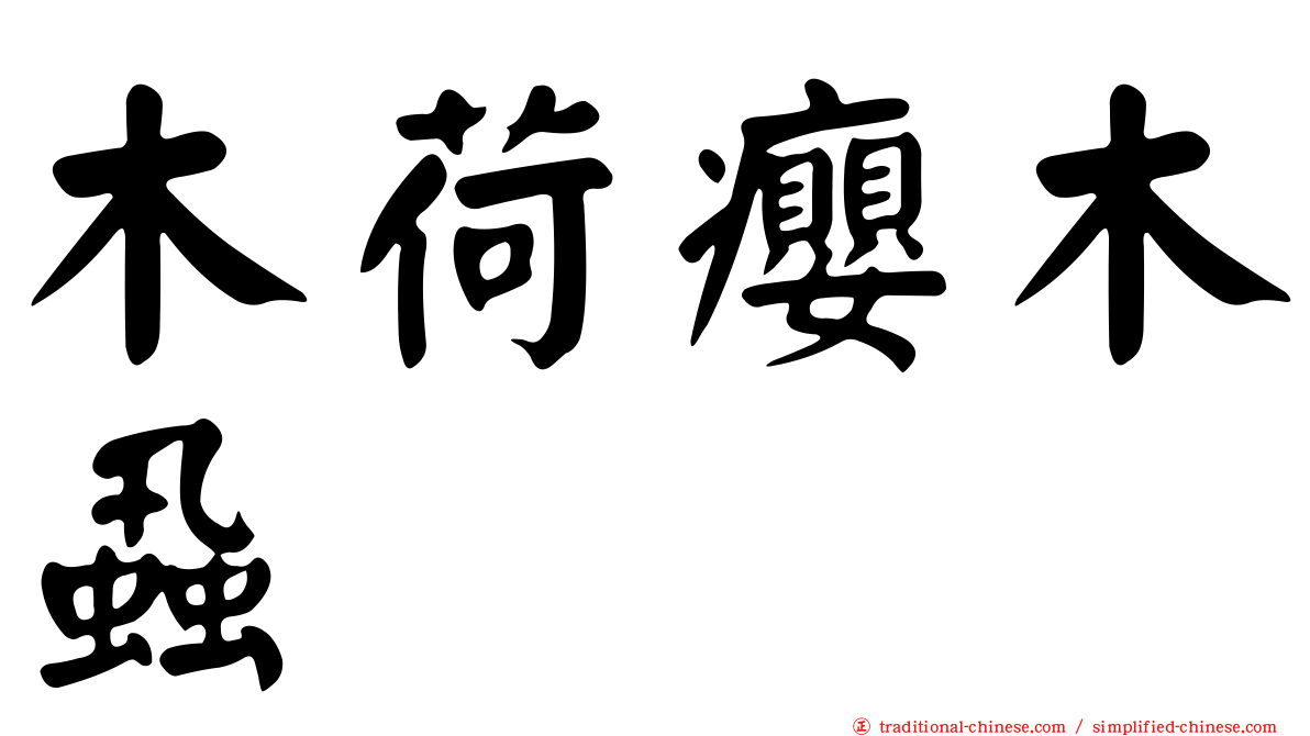 木荷癭木蝨
