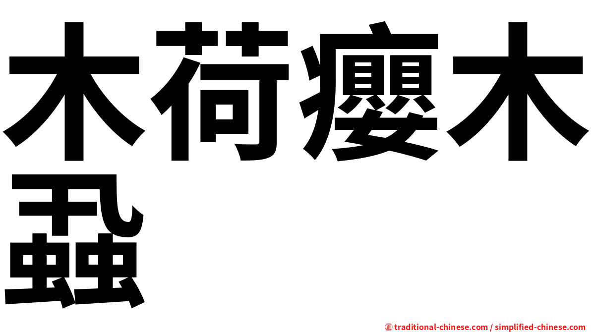 木荷癭木蝨