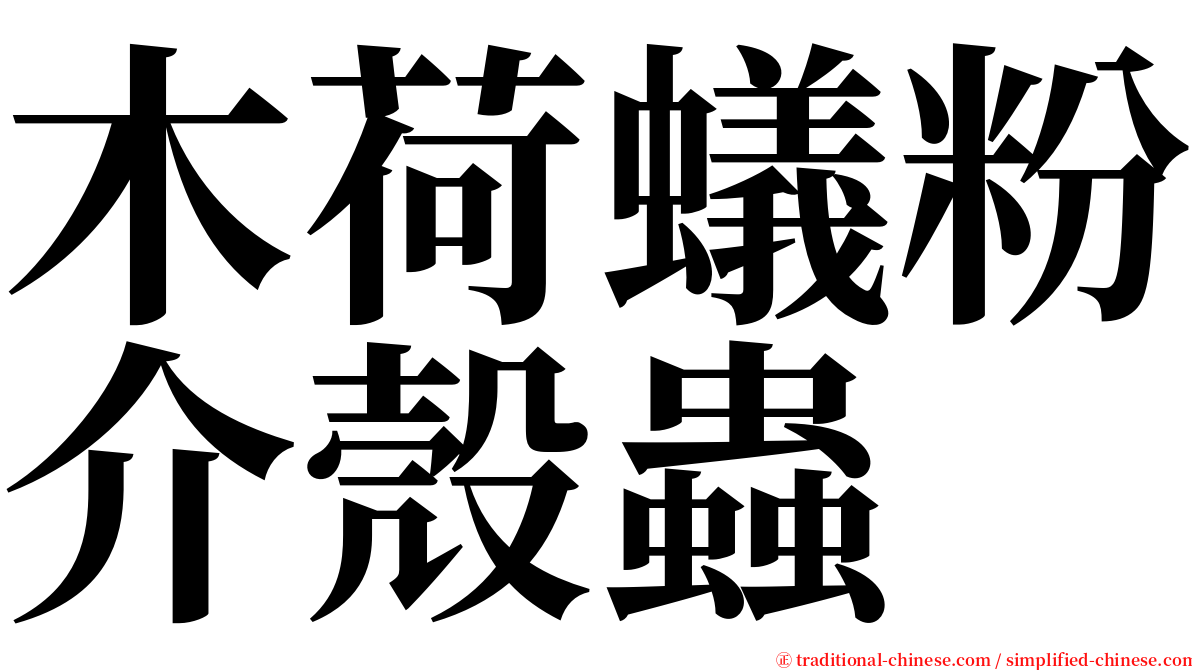 木荷蟻粉介殼蟲 serif font