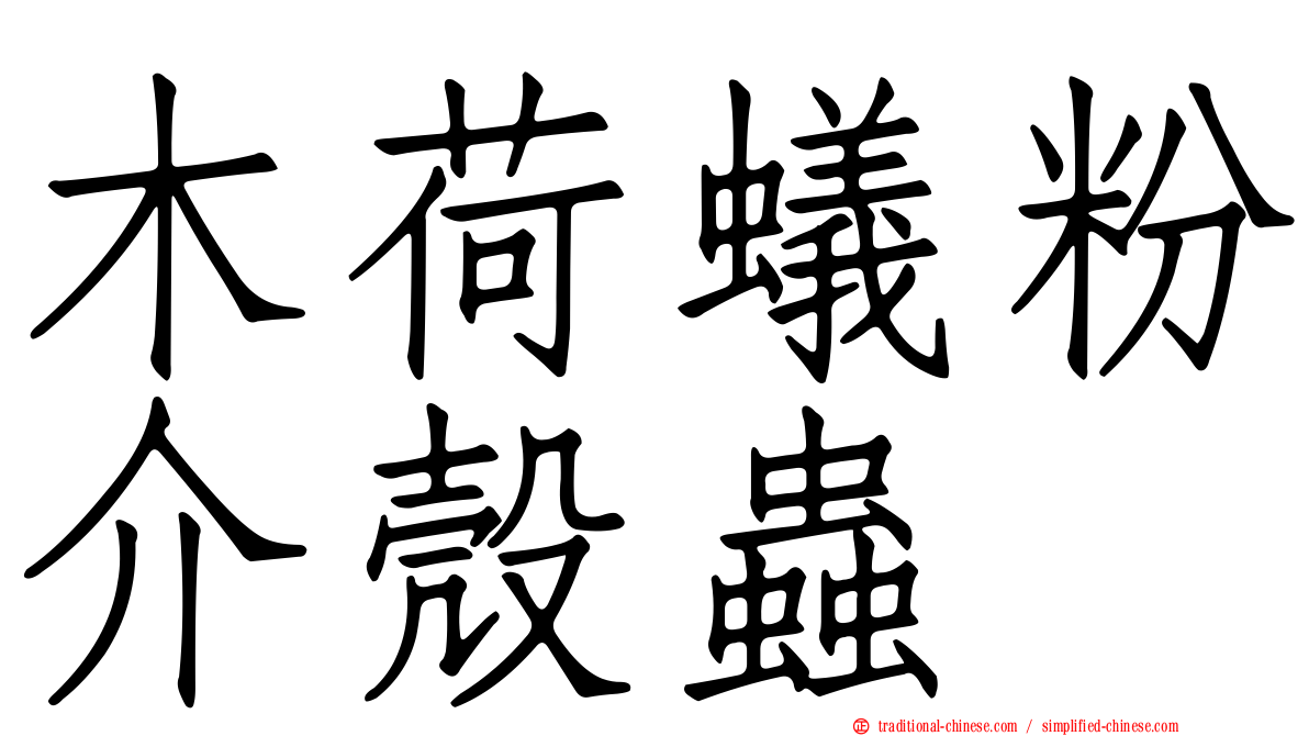 木荷蟻粉介殼蟲