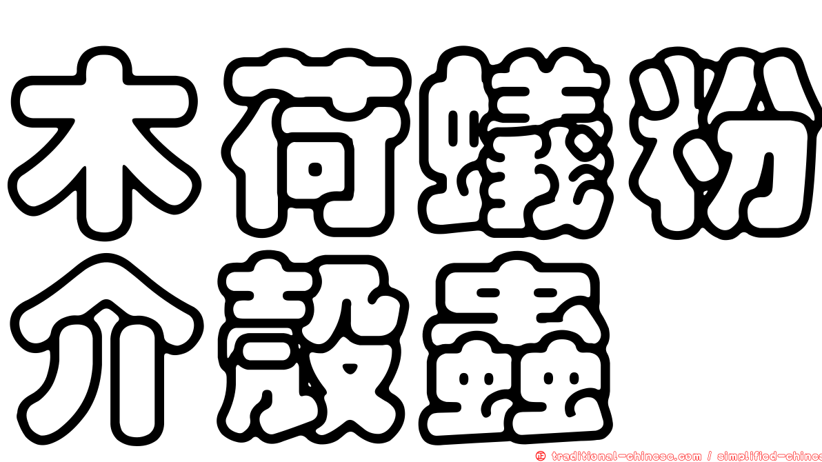 木荷蟻粉介殼蟲