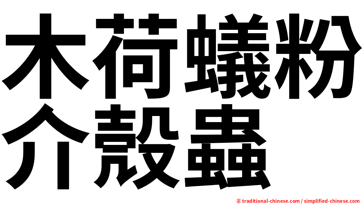 木荷蟻粉介殼蟲