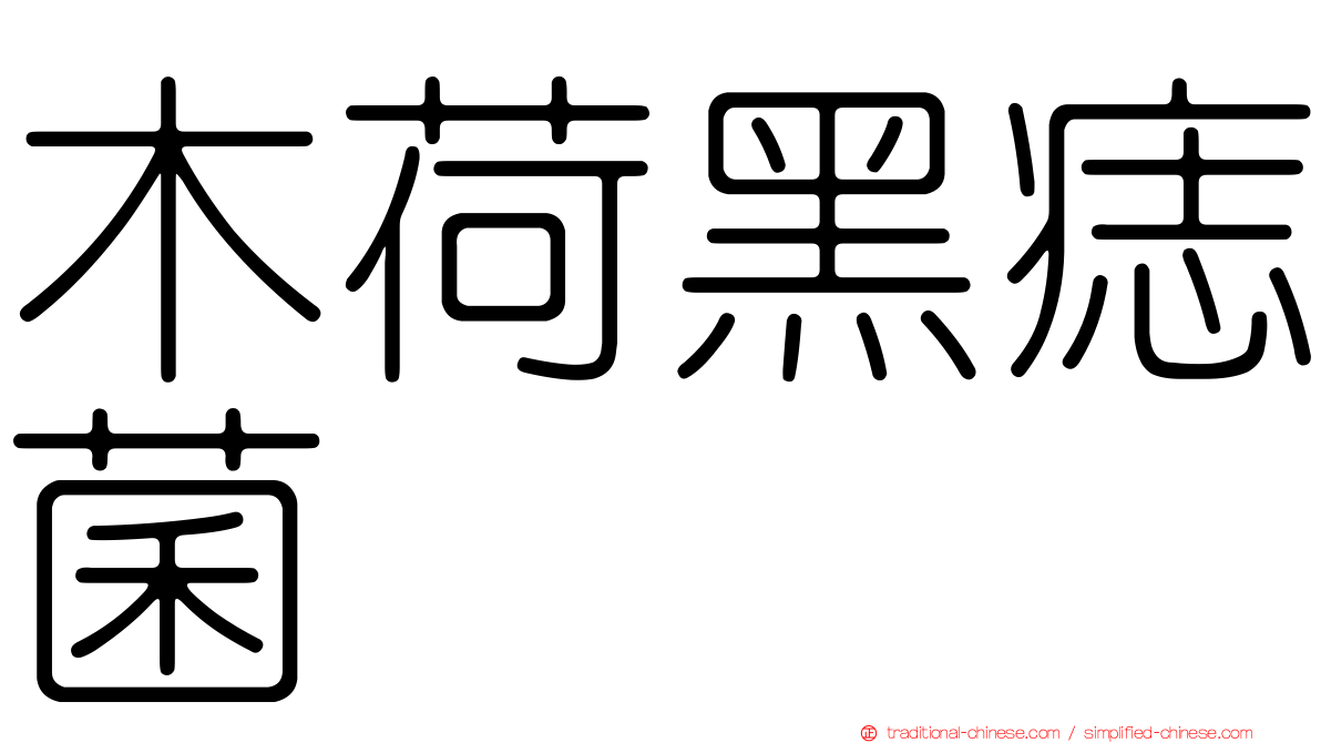 木荷黑痣菌