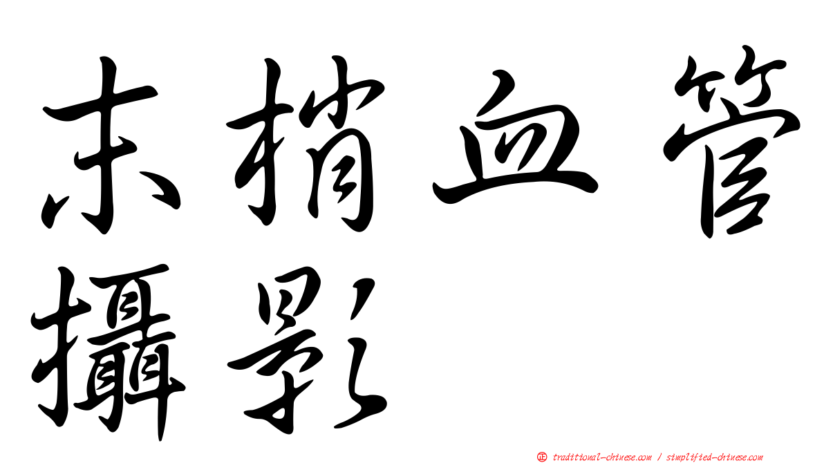 末梢血管攝影