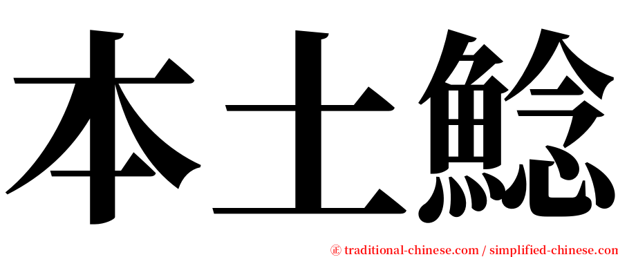 本土鯰 serif font