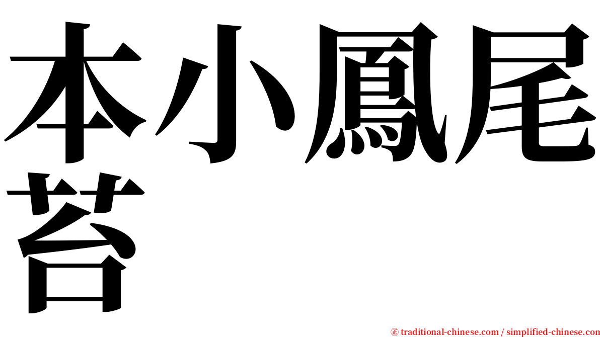 本小鳳尾苔 serif font