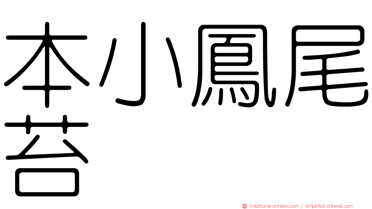 本小鳳尾苔