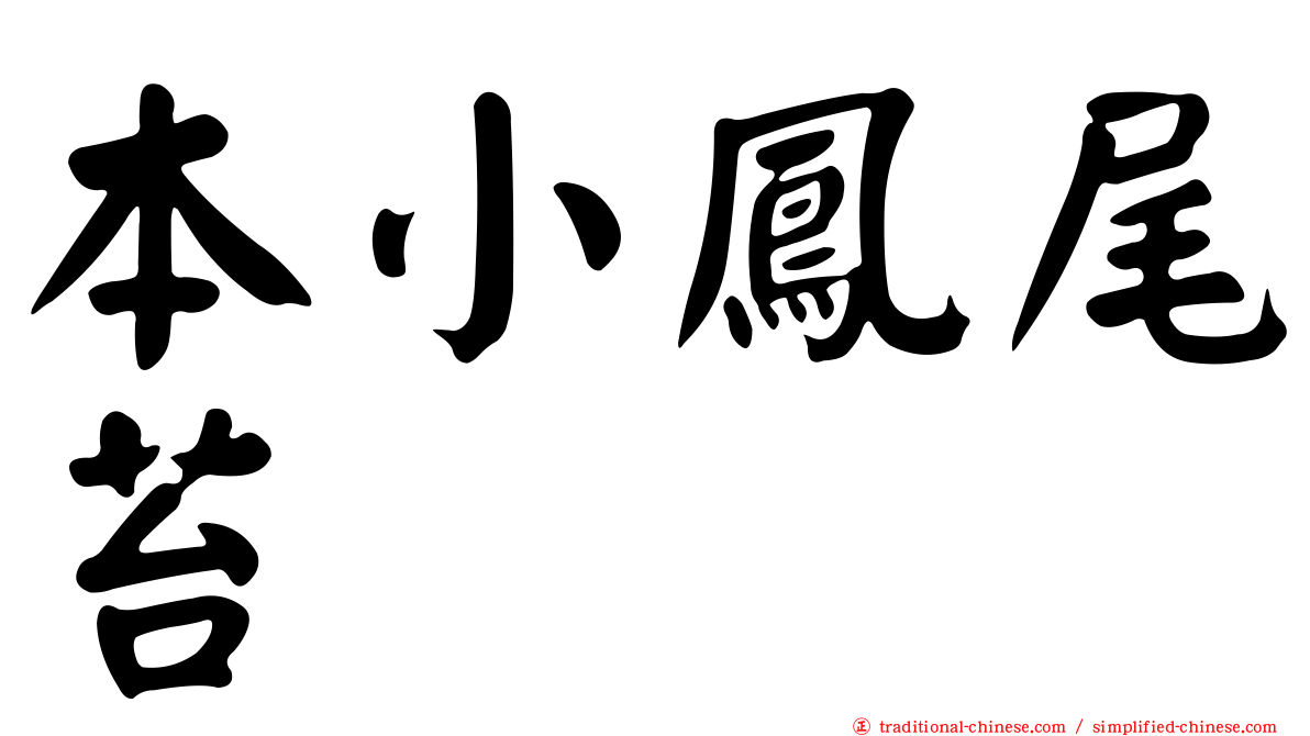 本小鳳尾苔