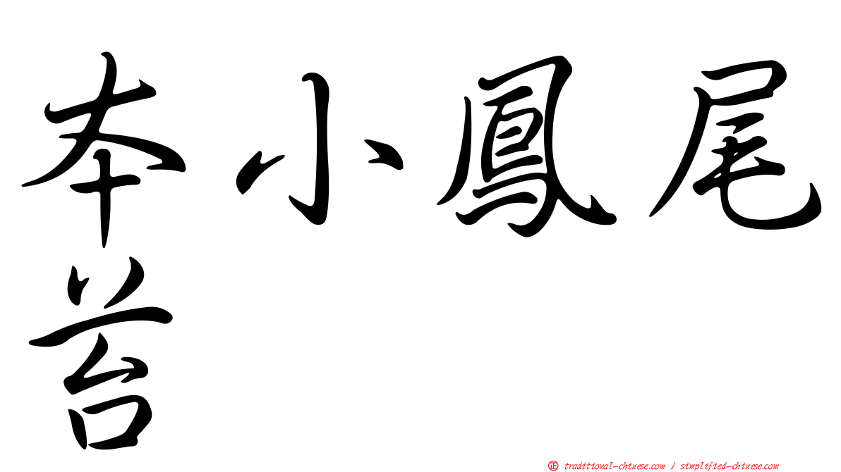 本小鳳尾苔
