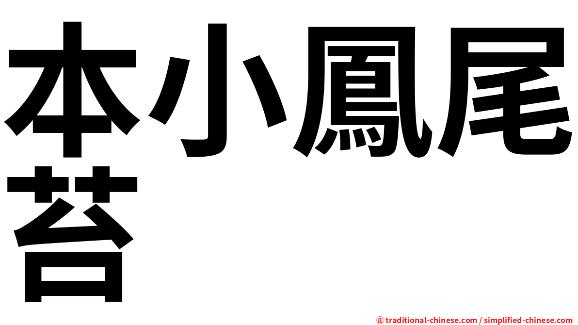 本小鳳尾苔