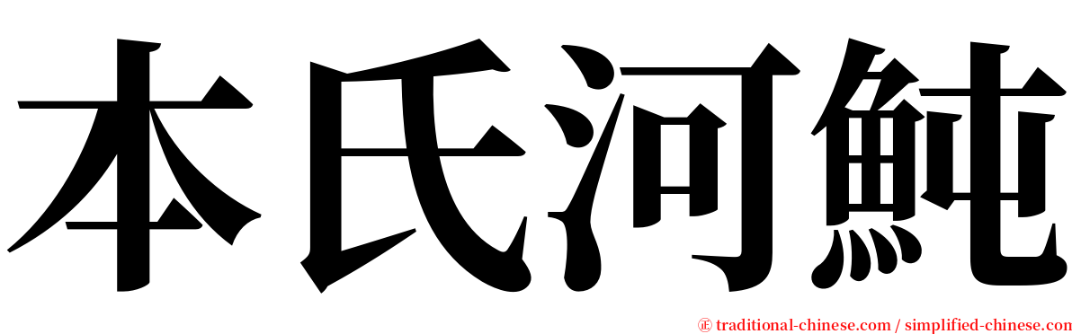 本氏河魨 serif font