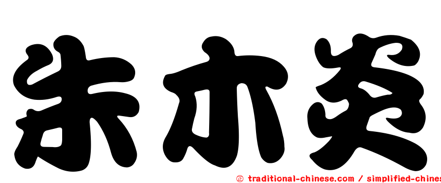 朱木炎
