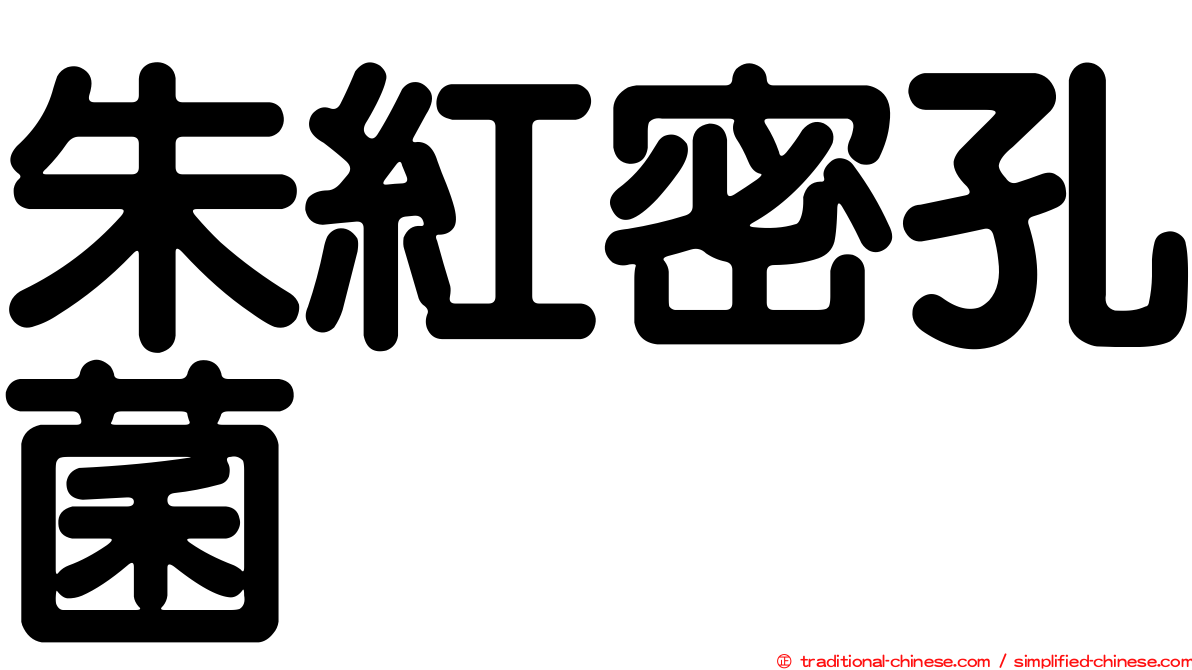 朱紅密孔菌