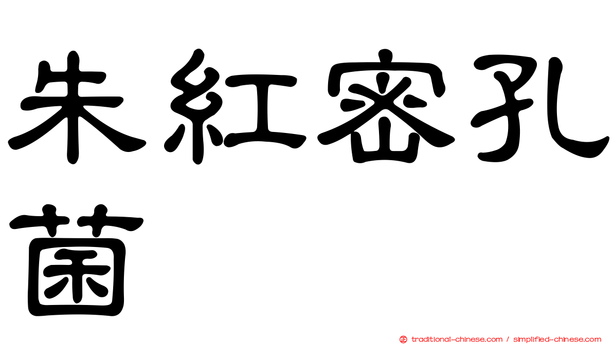 朱紅密孔菌