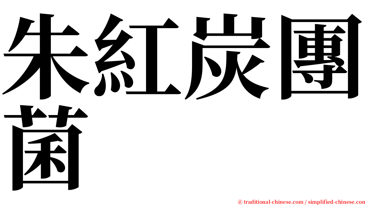 朱紅炭團菌 serif font