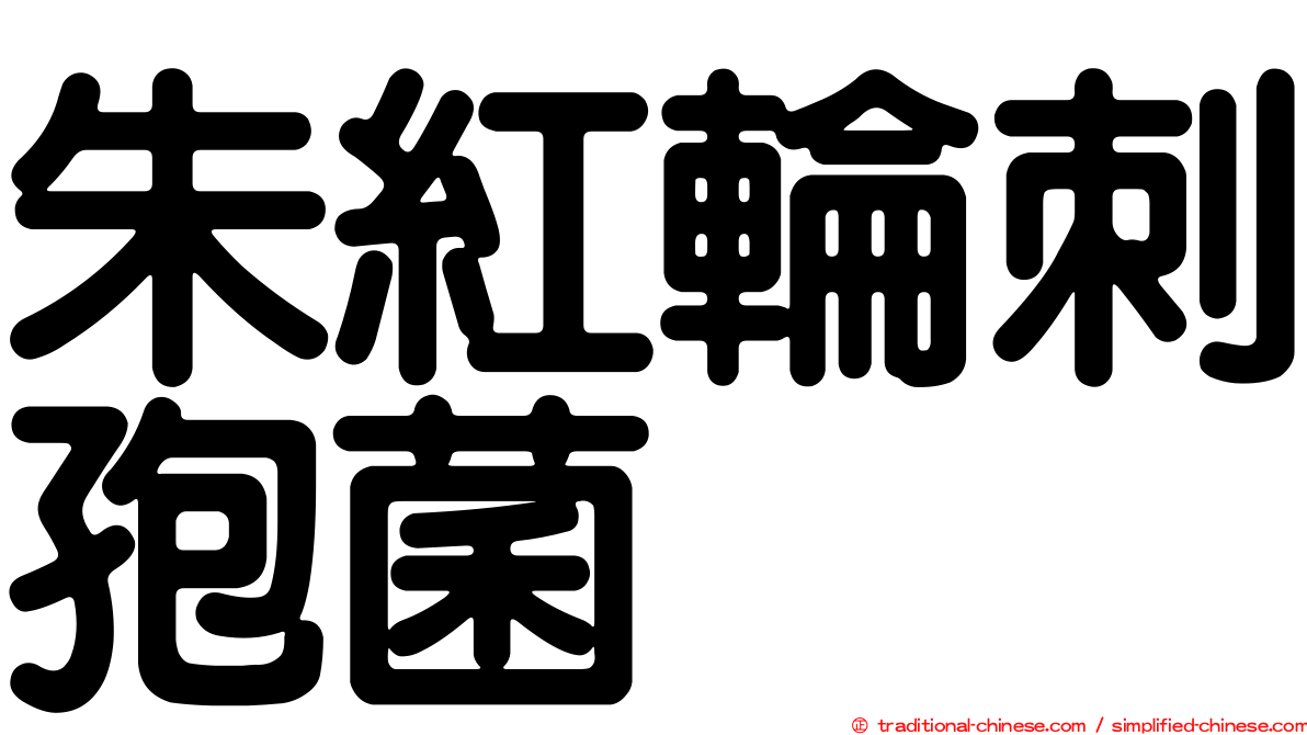 朱紅輪刺孢菌