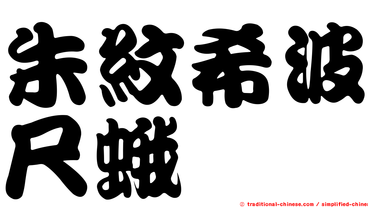 朱紋希波尺蛾