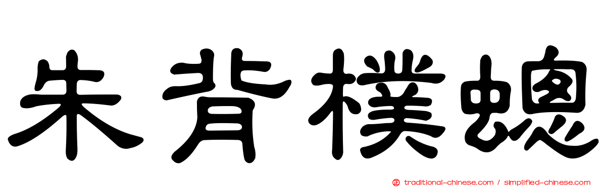 朱背樸蟌