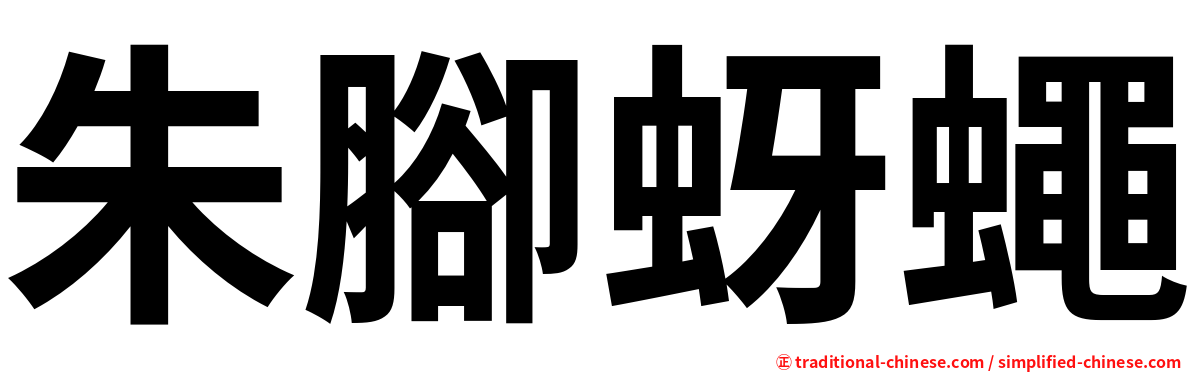 朱腳蚜蠅
