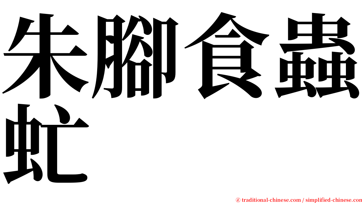 朱腳食蟲虻 serif font