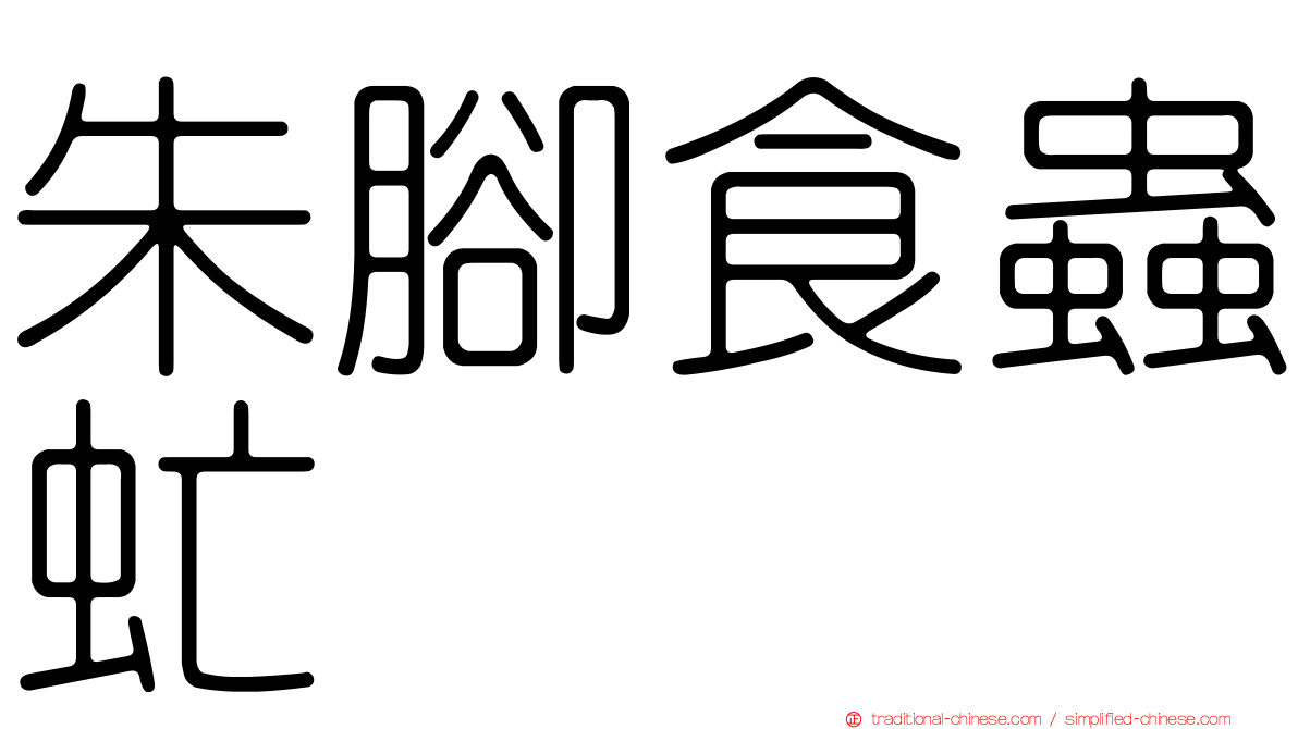 朱腳食蟲虻