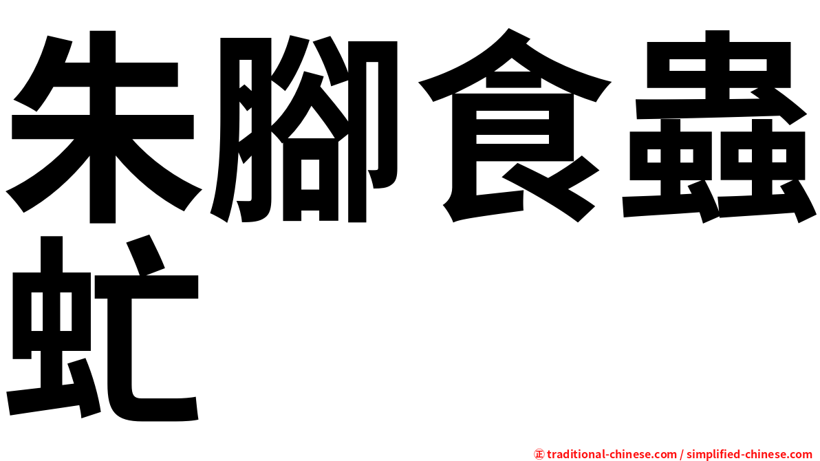 朱腳食蟲虻