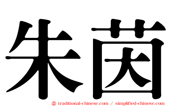 朱茵