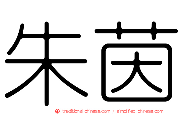 朱茵