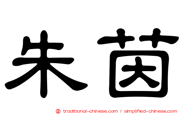 朱茵