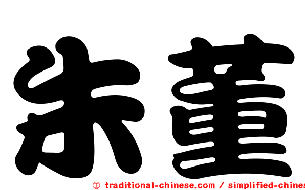 朱董