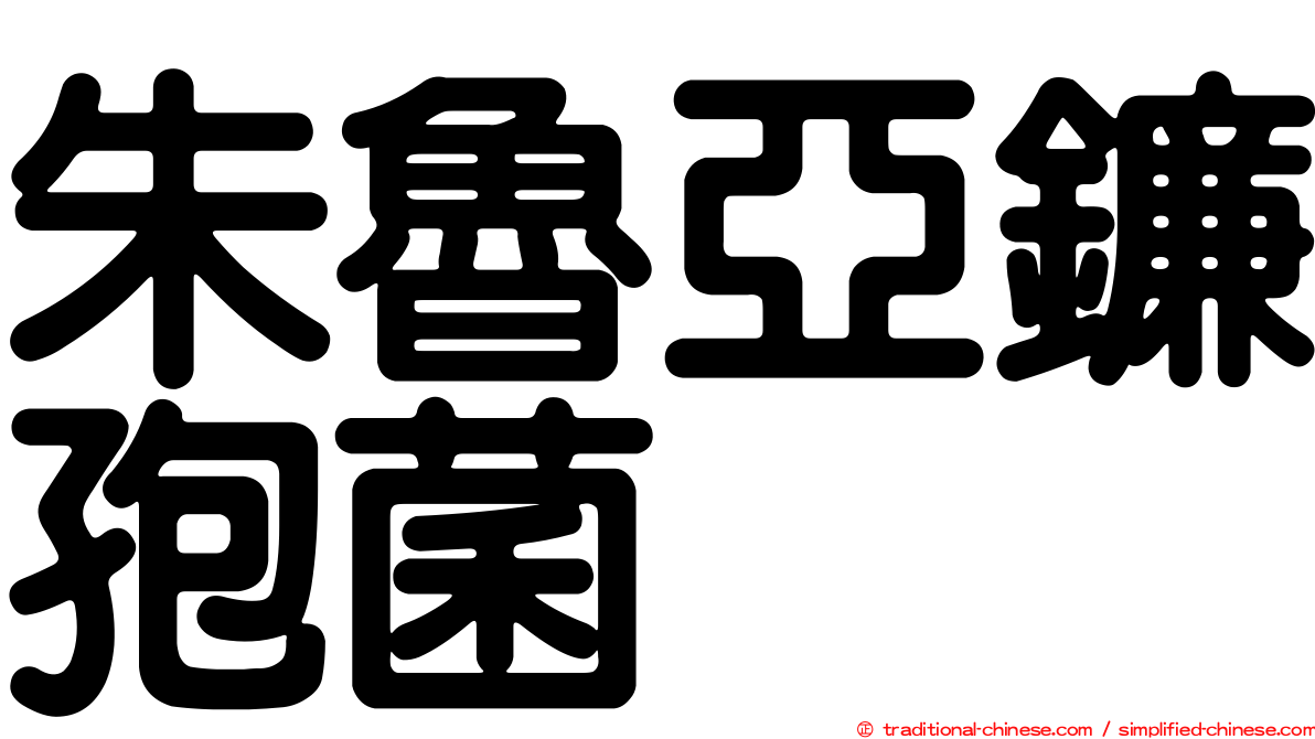 朱魯亞鐮孢菌