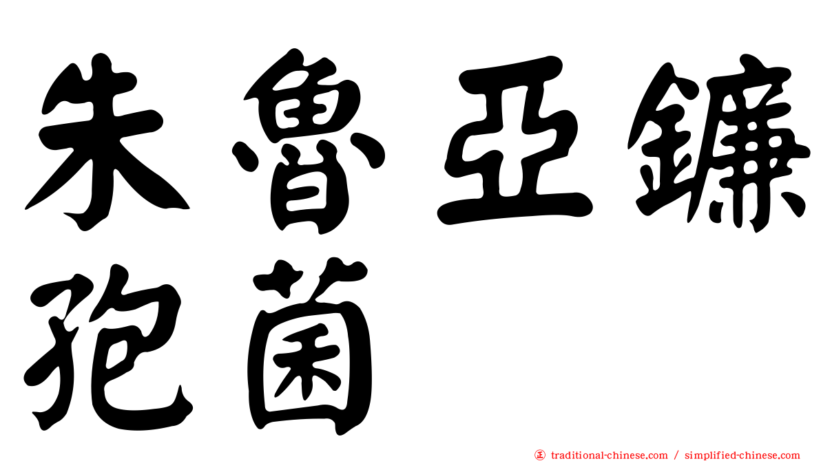 朱魯亞鐮孢菌