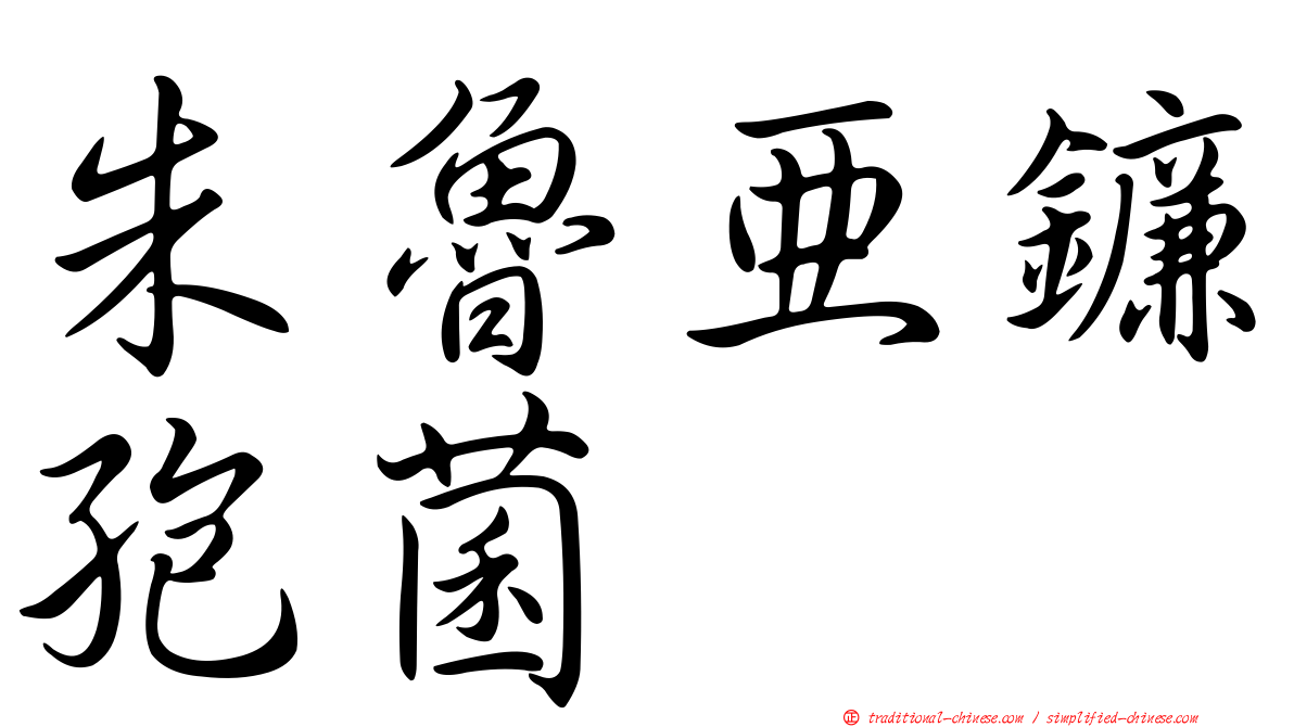 朱魯亞鐮孢菌
