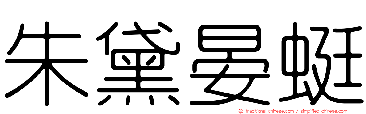 朱黛晏蜓