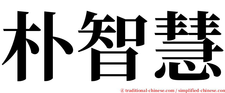 朴智慧 serif font