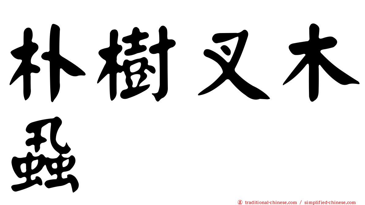 朴樹叉木蝨