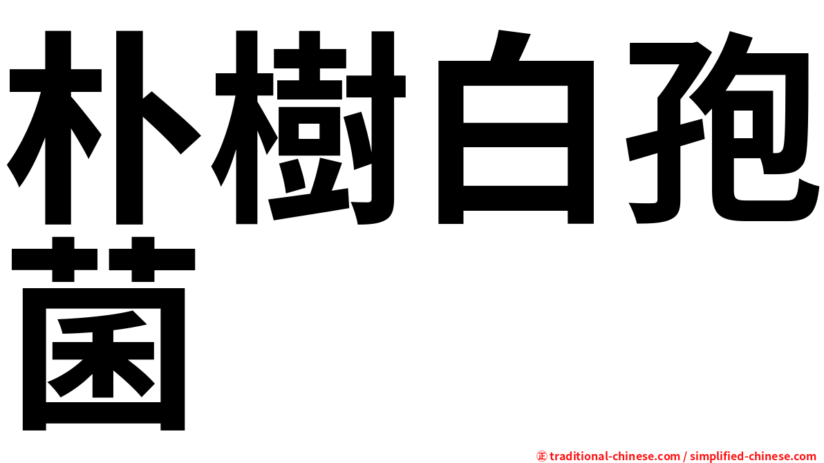 朴樹白孢菌