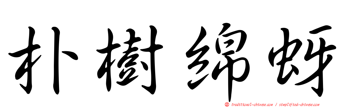 朴樹綿蚜