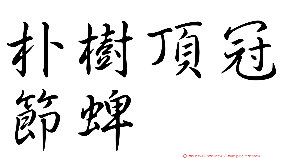 朴樹頂冠節蜱