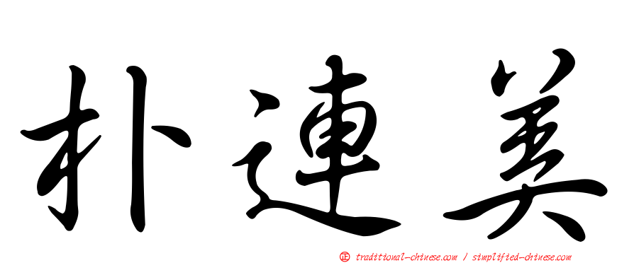 朴連美