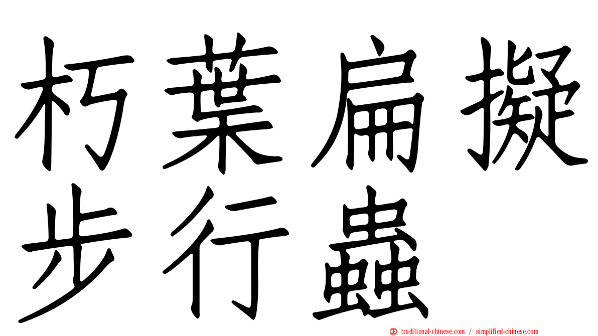 朽葉扁擬步行蟲