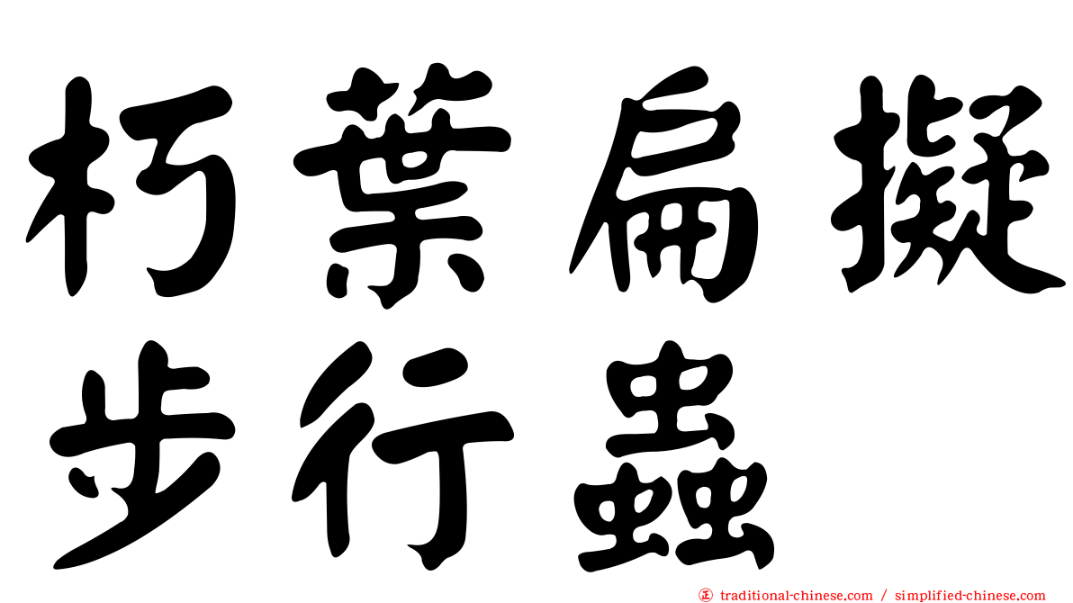 朽葉扁擬步行蟲