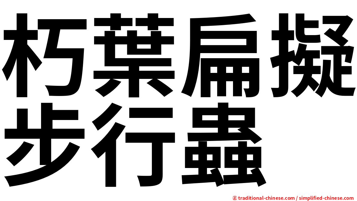 朽葉扁擬步行蟲