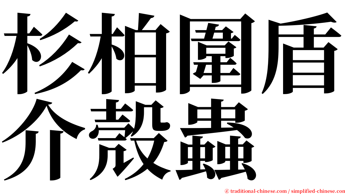 杉柏圍盾介殼蟲 serif font