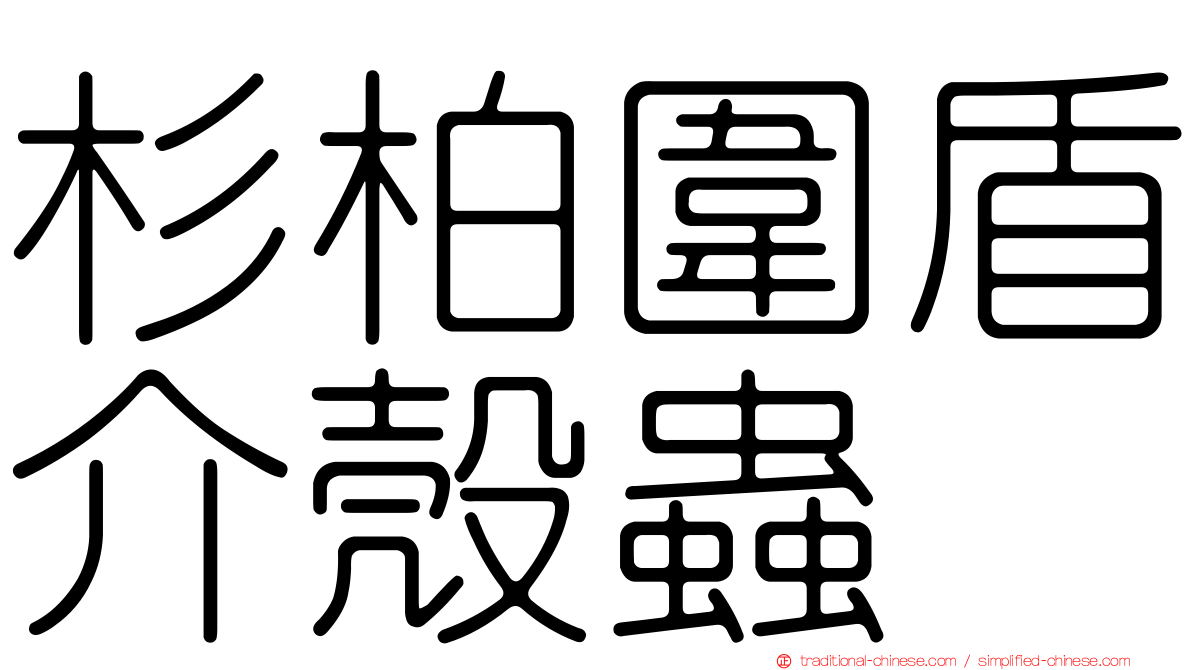 杉柏圍盾介殼蟲