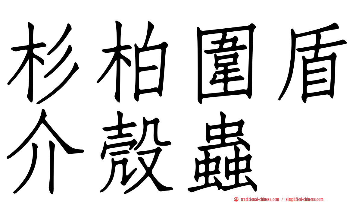 杉柏圍盾介殼蟲