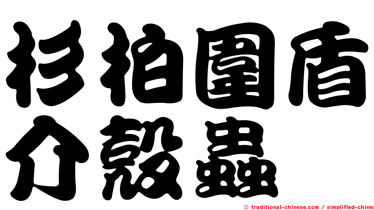 杉柏圍盾介殼蟲