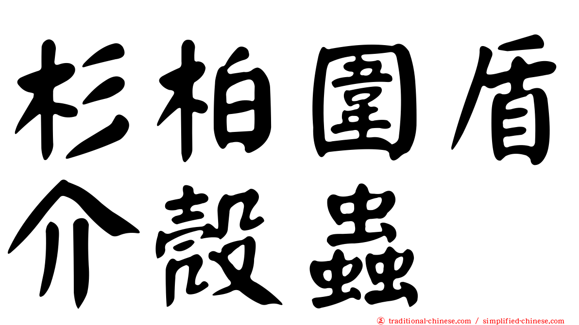 杉柏圍盾介殼蟲